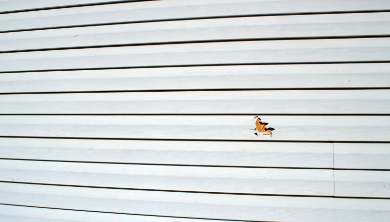 Vinyl Siding Panel Replacement